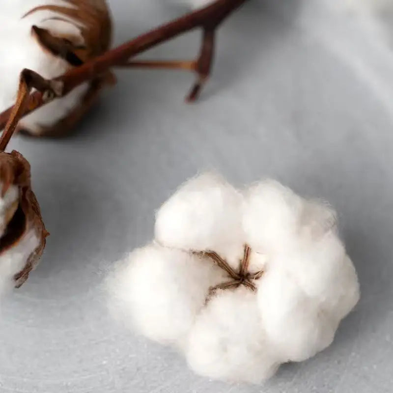 FAITH OVER FEAR Printed Men's Cotton Hoodieer